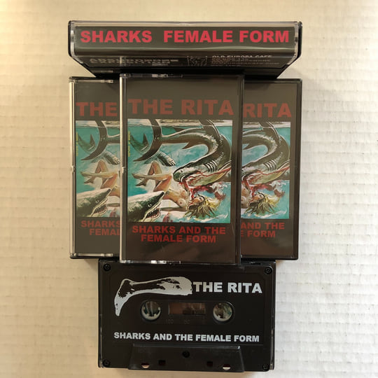 Sharks and the Female Form | THE RITA | Scream & Writhe