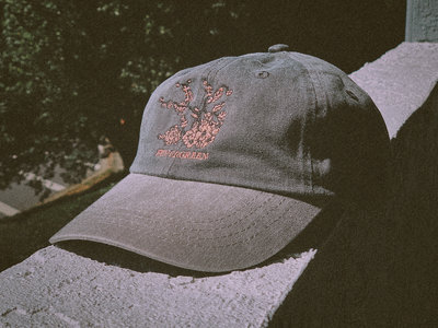 Embroidered Cherry Blossom Dad Hat main photo