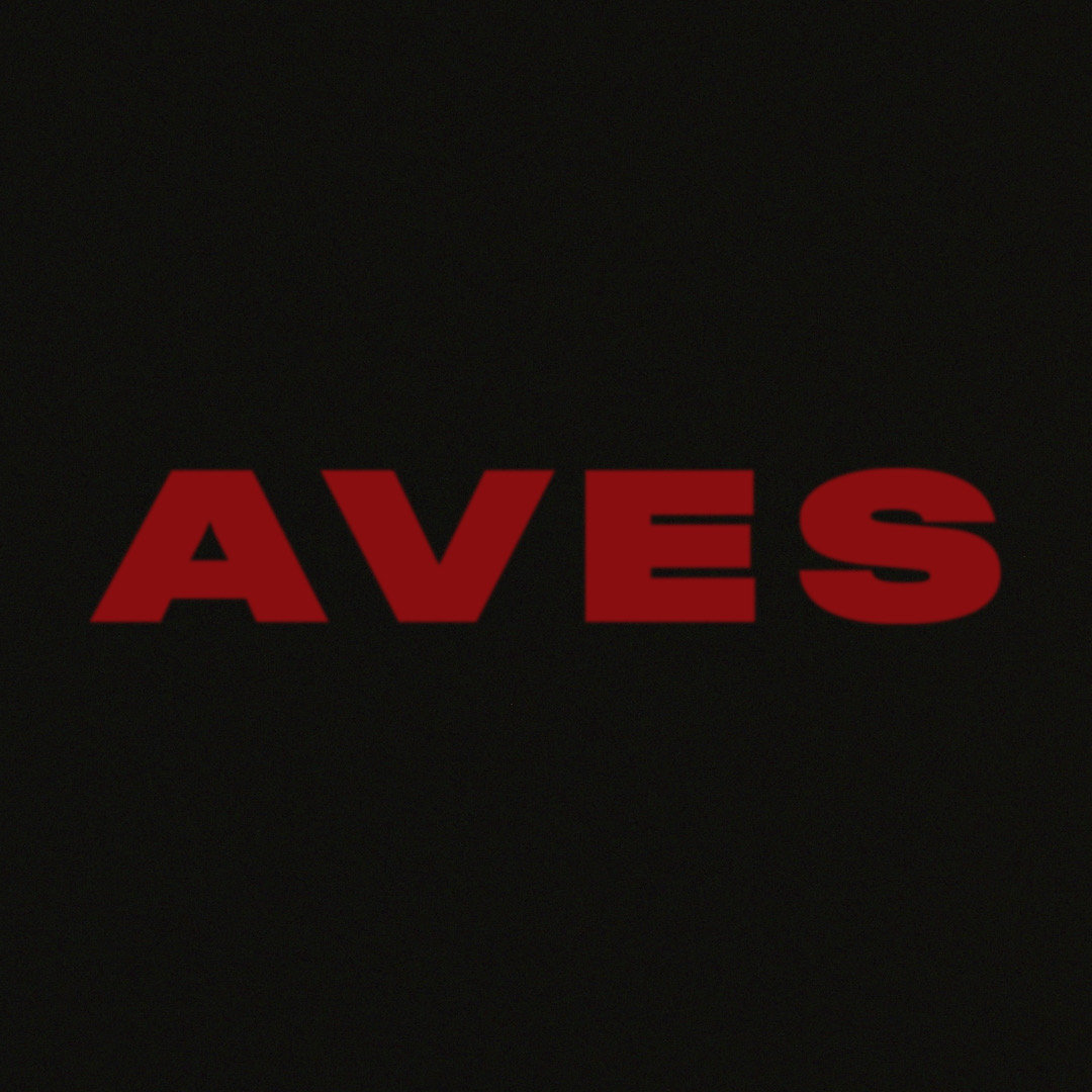 Sunkissed | Aves