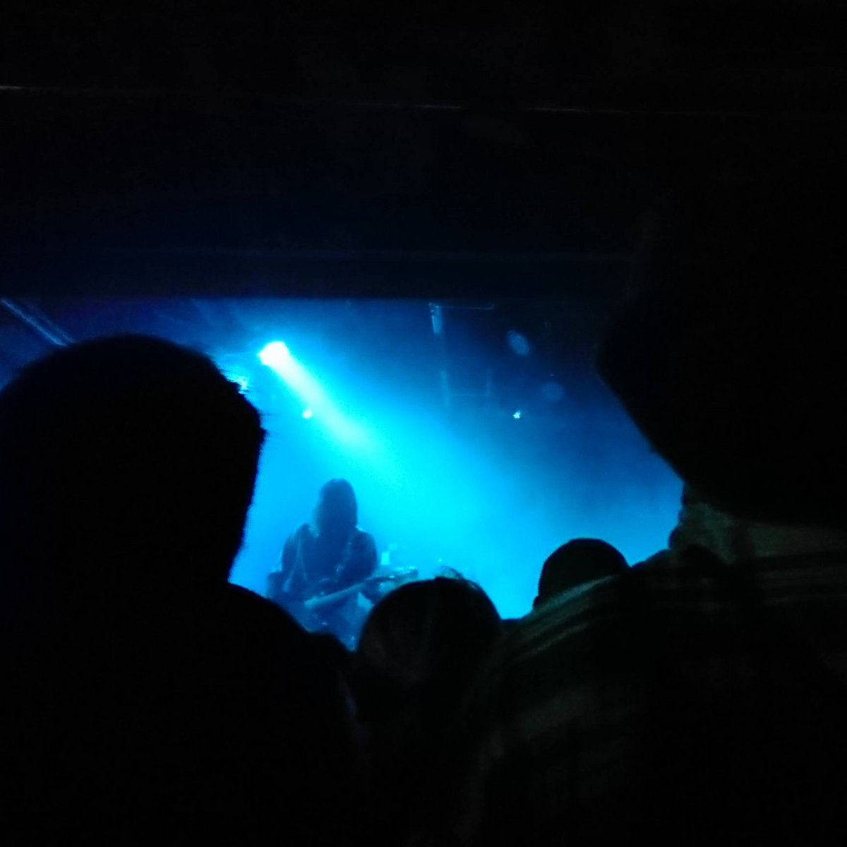 The Divine Move Vampillia Virgin Babylon Records