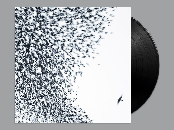 WILCO SKY BLUE SKY ウィルコ レコード LP Wilco Sky Blue Sky Limited Edition Blue Vinyl 2LP