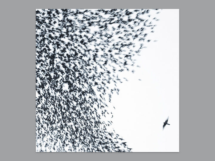 Sky Blue Sky | Wilco