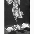 ephemera thumbnail
