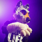 Dart Wolf Paws thumbnail