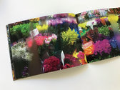 Book: “Deli Flowers After Dark” by Anja Hitzenberger photo 