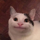 mitchropes thumbnail