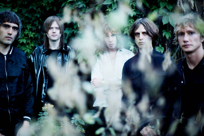 Happy in the Hollow | Toy