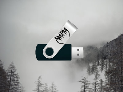USB Stick 8Go "Full Discography" main photo