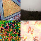 malaherba thumbnail