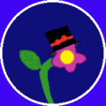 Hat on a Flower Studio image