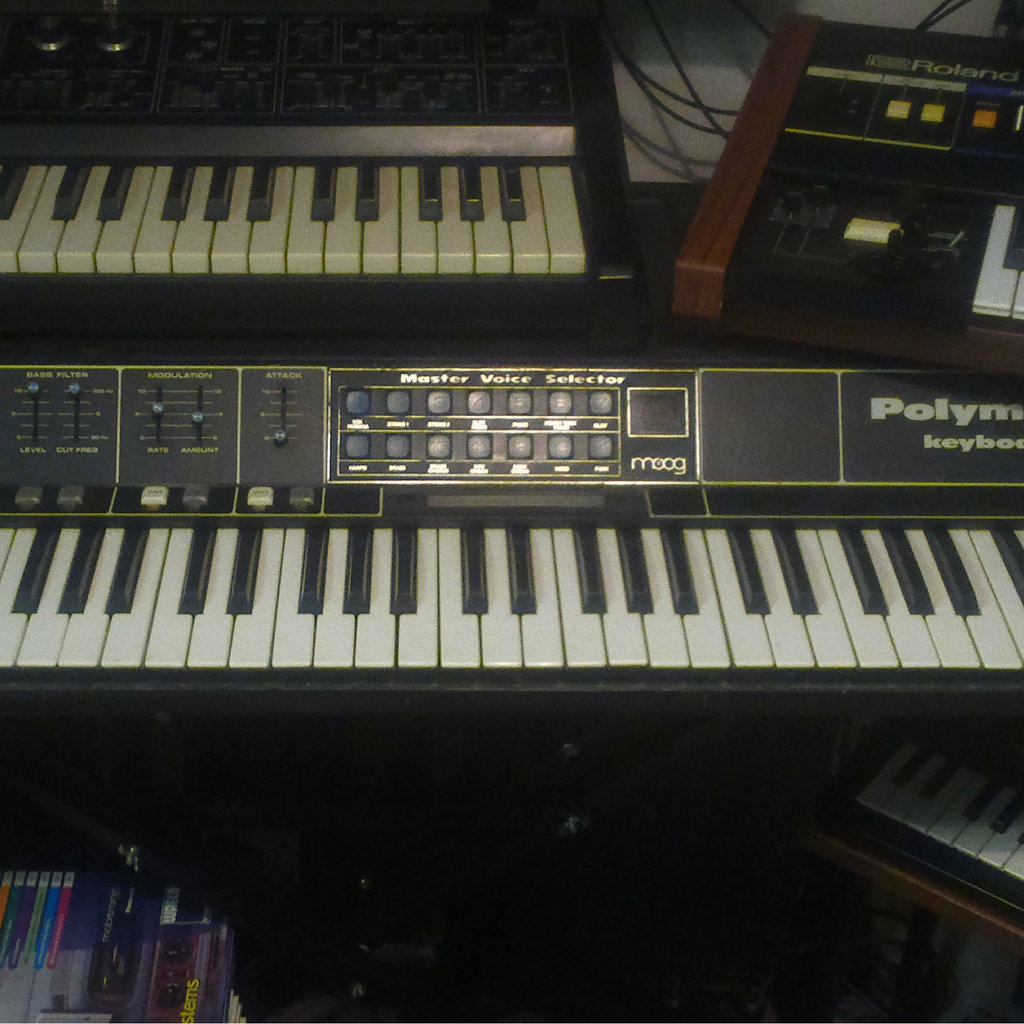 Markymoog S Collection Bandcamp Markymoog S Collection Bandcamp