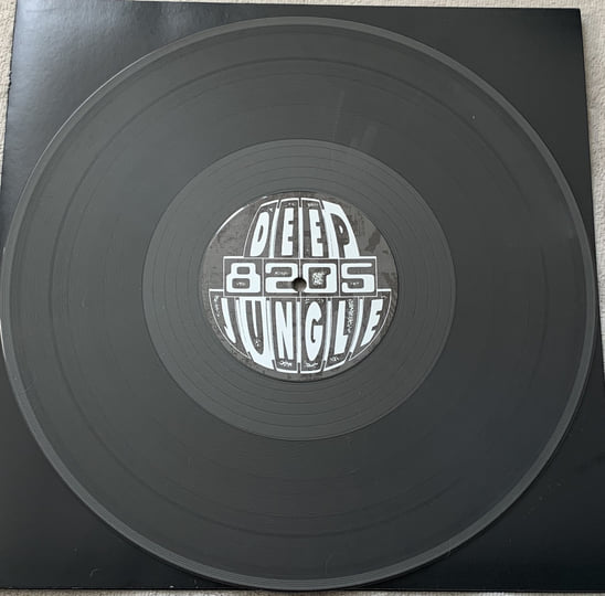 英LP Dubplate Vibes Crew Stepping Out Of Babylon SOLDLP001 Solardub Records /00250 s-l500.jpg