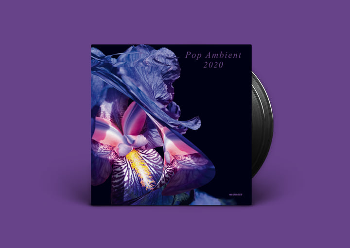 Pop Ambient 2020 | Various Artists | Kompakt