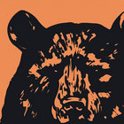 KrBear thumbnail