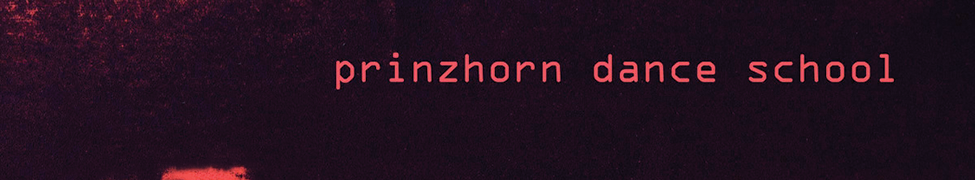 Prinzhorn Dance School — Photo