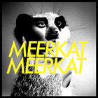 MEERKAT MEERKAT thumbnail