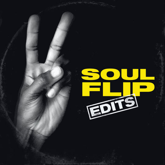 AIRFLIP 配布　サンプル　CD レア Soul Flip Edits [LP] | Soul Flip
