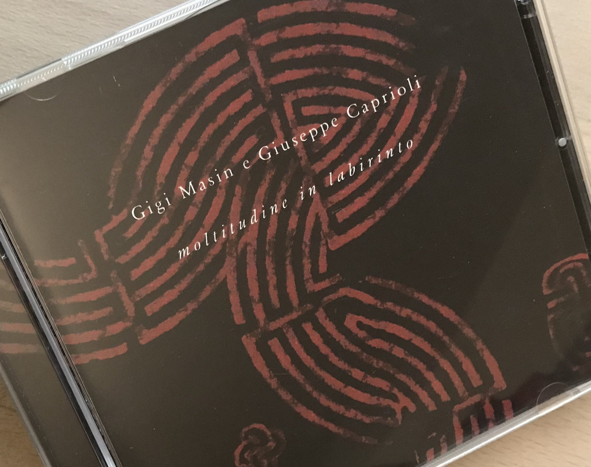 Moltitudine in labirinto | Gigi Masin & Giuseppe Caprioli | ANTS