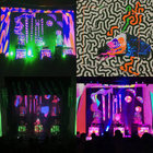 Hollinndagain | Animal Collective