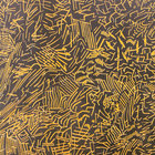 米2LP Graham Lambkin Aphorisms BLANKFORMSEDITI Blank Forms Editions /00660 Aphorisms | Graham Lambkin | Blank Forms Editions