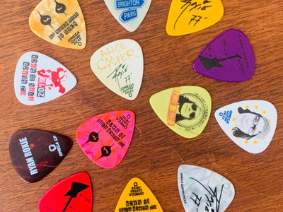 The '3 for 30' MYSTERY Guitar Pick Collection! main photo