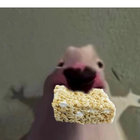 smiffmaff thumbnail