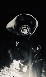 Cover of Apocalyptic Frost