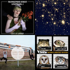 Virgin Babylon Night MIX Vol.2 | Various Artist | Virgin Babylon