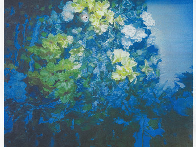 Silk Flowers Risograph Prints main photo