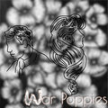 War Poppies image