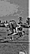 Dredge image