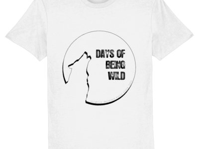 Days of Being Wild 10 years anniversary t-shirt main photo