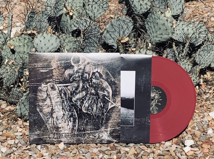 Suicide Forest | Suicide Forest