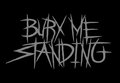 Bury Me Standing image