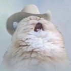 belladonna-blues thumbnail