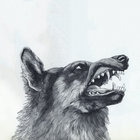 fangs thumbnail