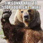 Big Old Bear thumbnail