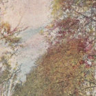 macleanmary thumbnail