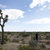 James Ersted thumbnail