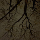 blackironprison thumbnail