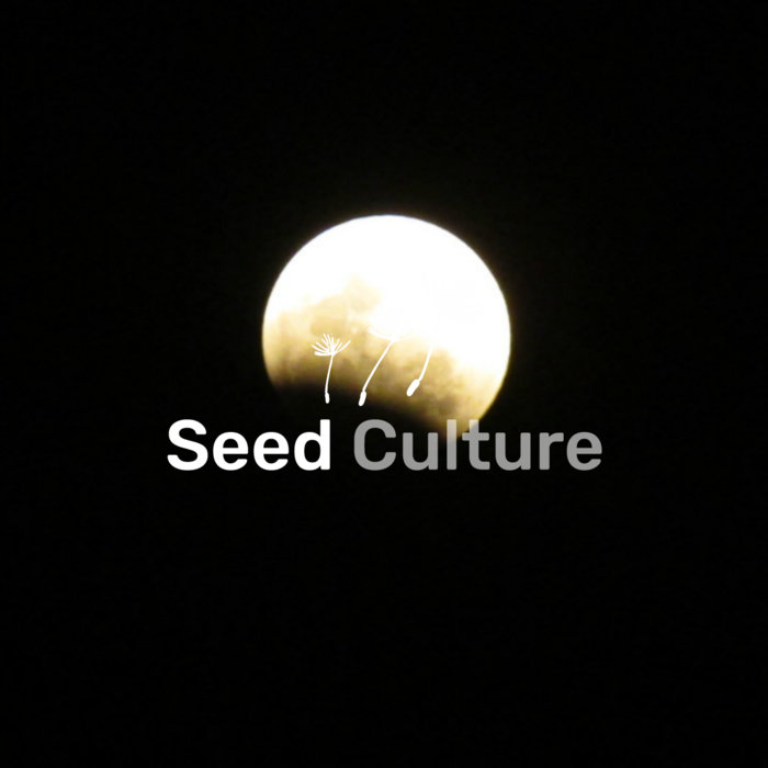 The Seed Culture cover