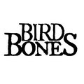 Bird Bones image