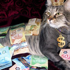 ekwipt_ thumbnail