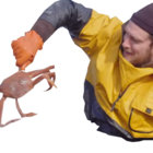 M thumbnail