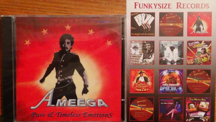 Ameega - Pure And Timeless Emotions | Funkysize Records