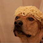 noodle_bwoy thumbnail