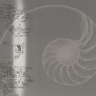 thecuttingbureau thumbnail