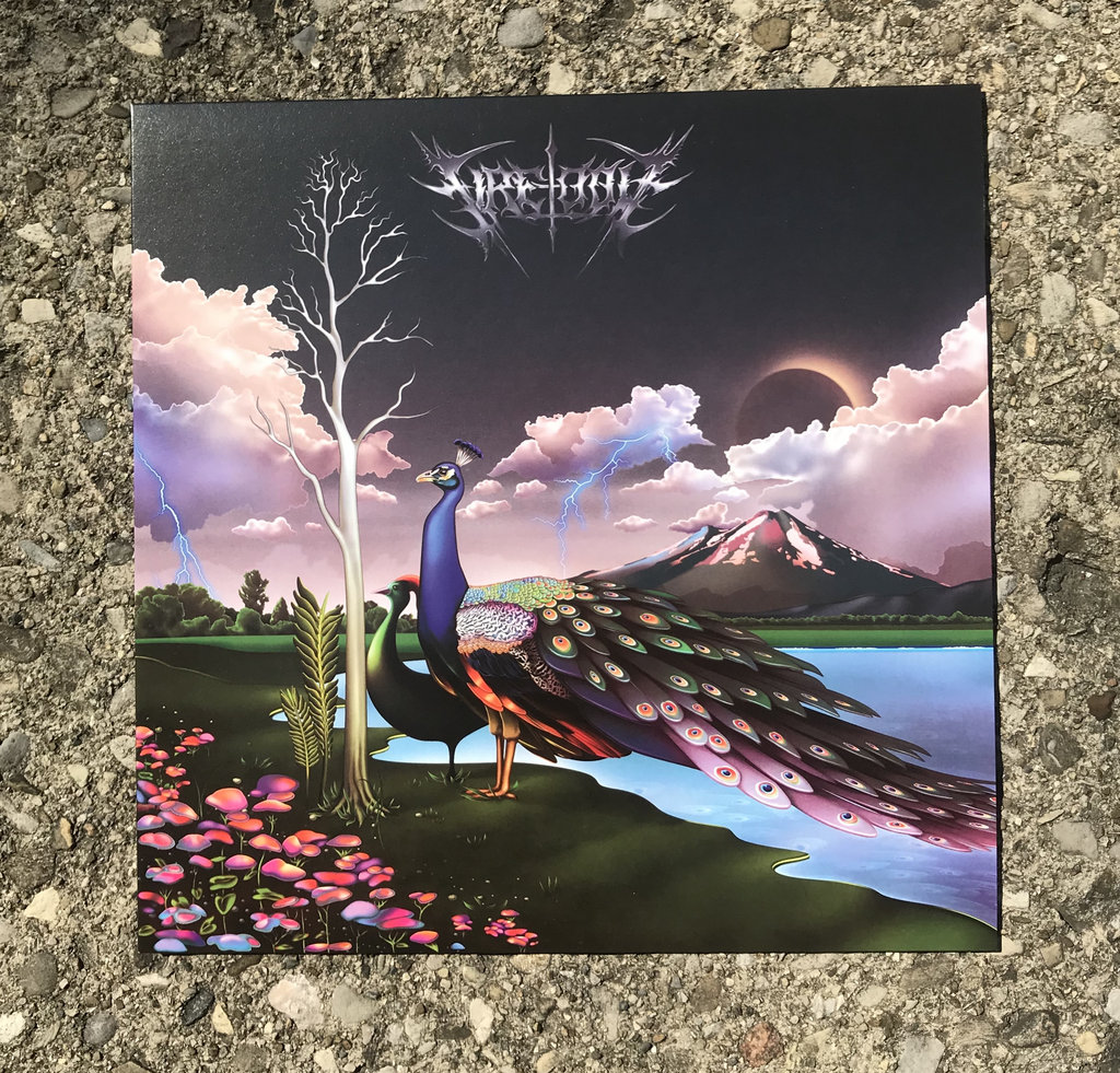 Album of the Day FireToolz, “Field Whispers (Into The Crystal Palace