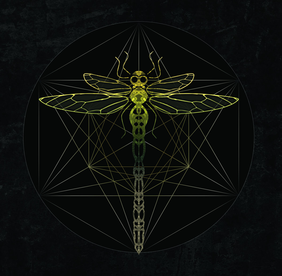Order Odonata- 'Metamorphosis' | Various Artists | Dragonfly