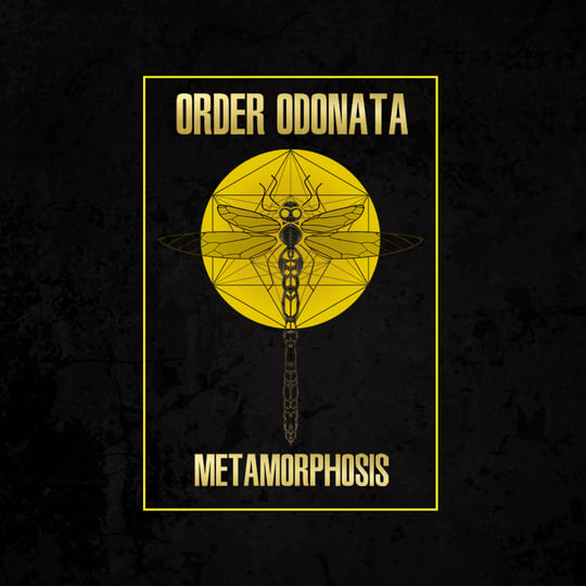 Dragonfly Records「Order Odonata」CD Order Odonata- 'Metamorphosis' | Various Artists | Dragonfly Records